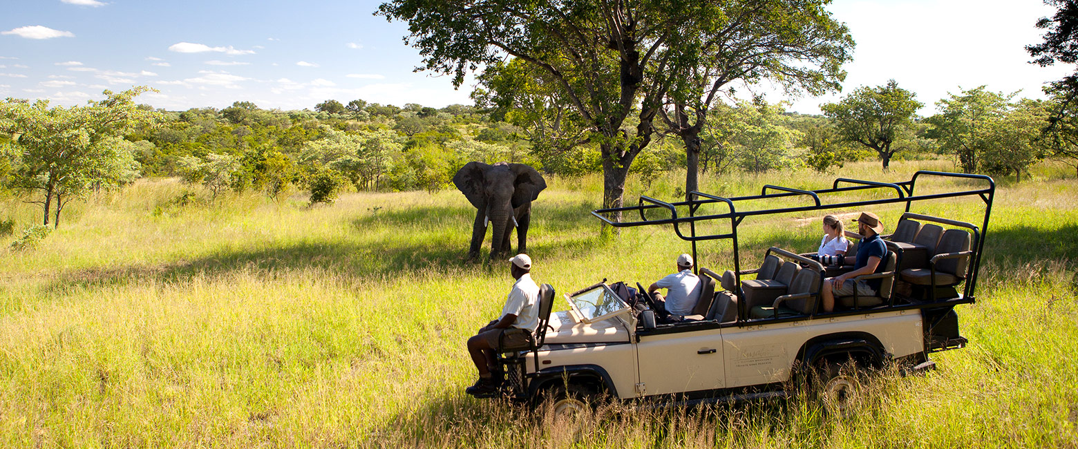 let us know your thoughts about South Africa and we will help you create the perfect safari