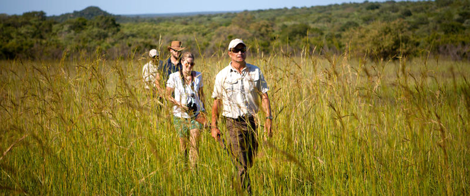 let us know your thoughts about South Africa and we will help you create the perfect safari