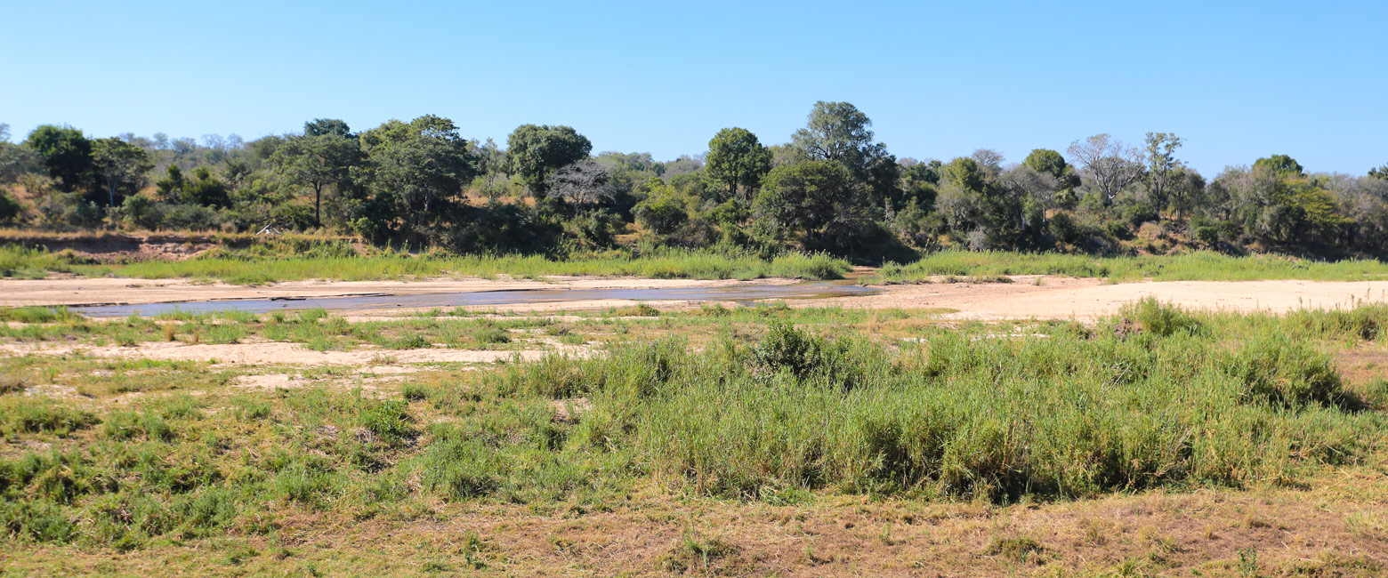 let us know your thoughts about South Africa and we will make sure to deliver the perfect safari