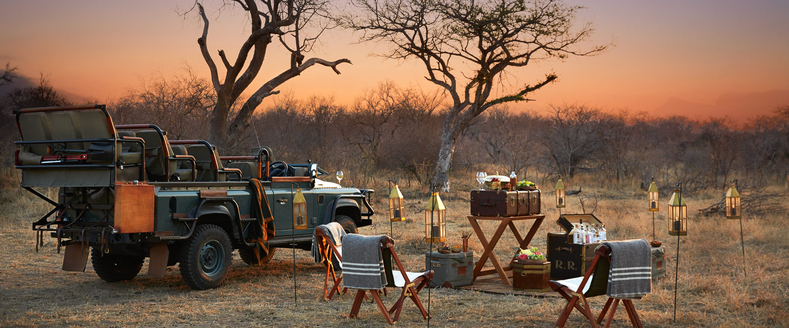 let us know your thoughts about South Africa and we will make sure to deliver the perfect safari