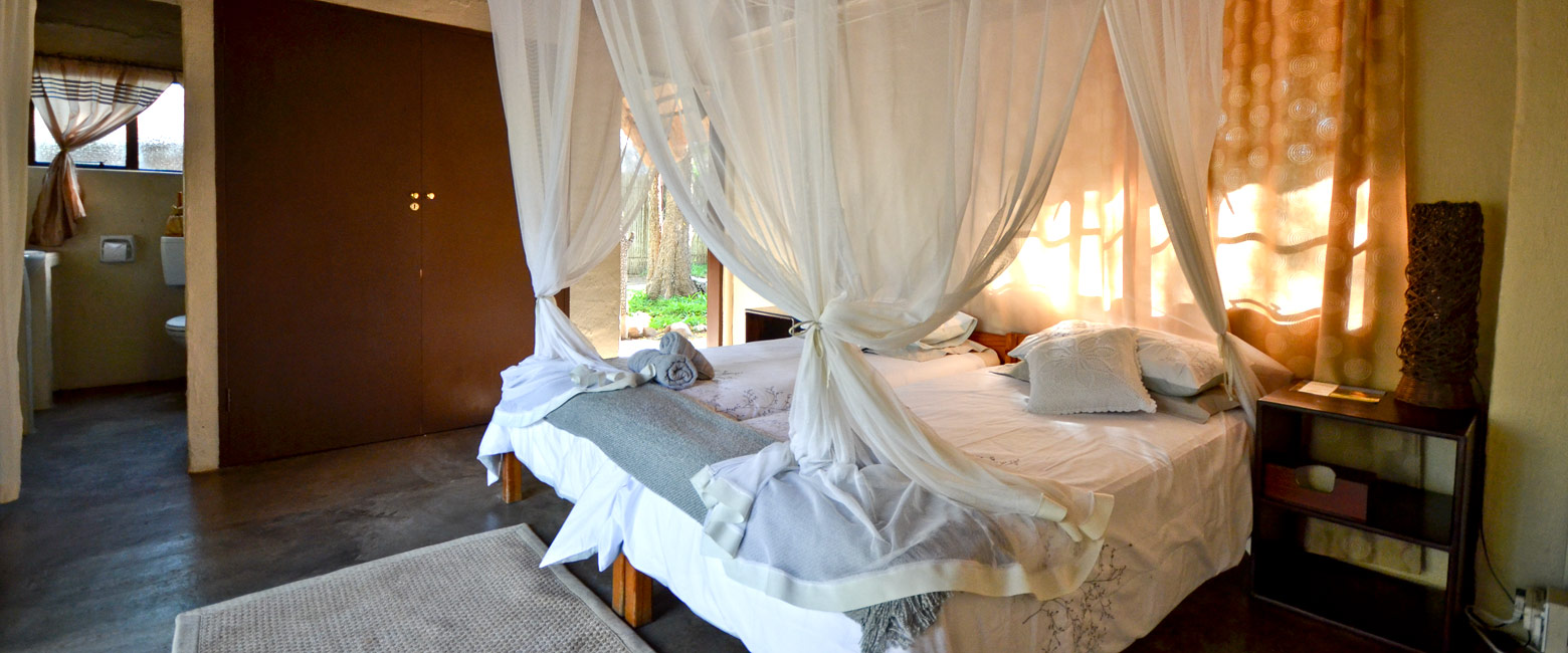 let us know your thoughts about South Africa and we will make sure to deliver the perfect safari