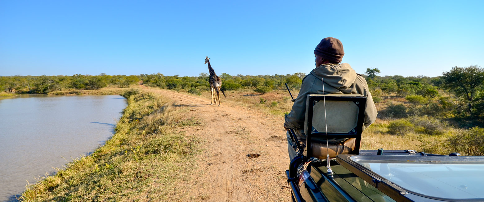 let us know your thoughts about South Africa and we will make sure to deliver the perfect safari