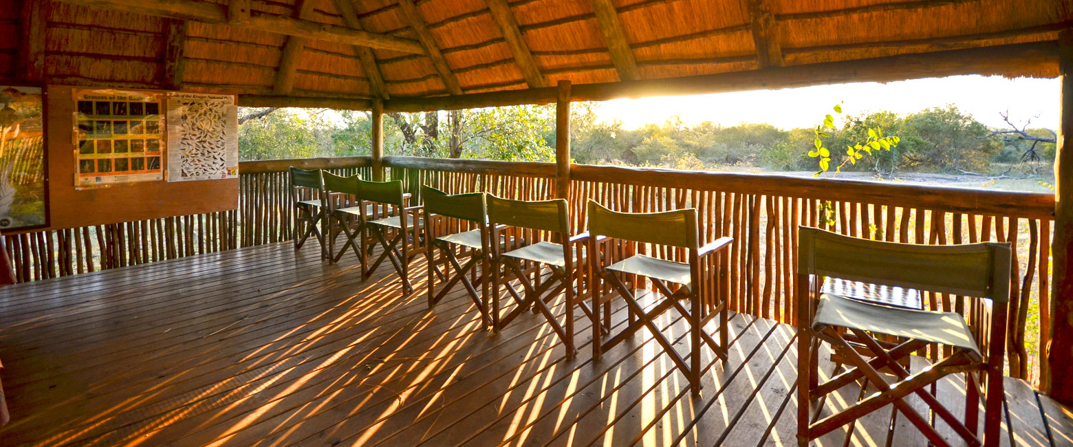 let us know your thoughts about South Africa and we will make sure to deliver the perfect safari 