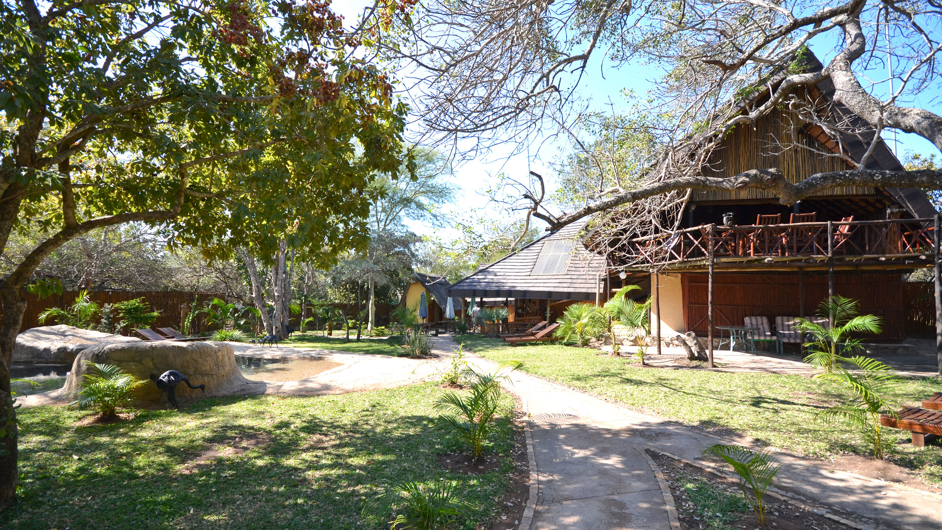 Pezulu Tree Lodge