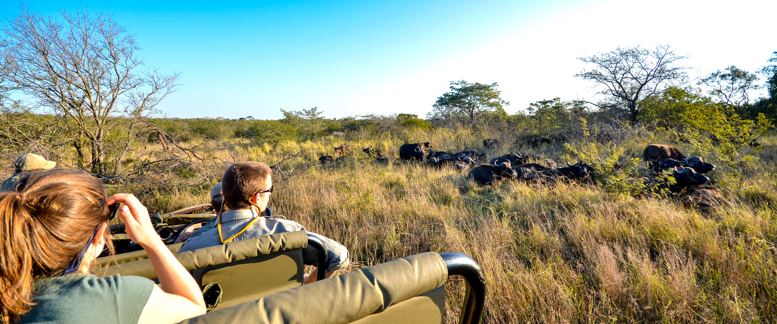 let us know your thoughts about South Africa and we will help you create the perfect safari