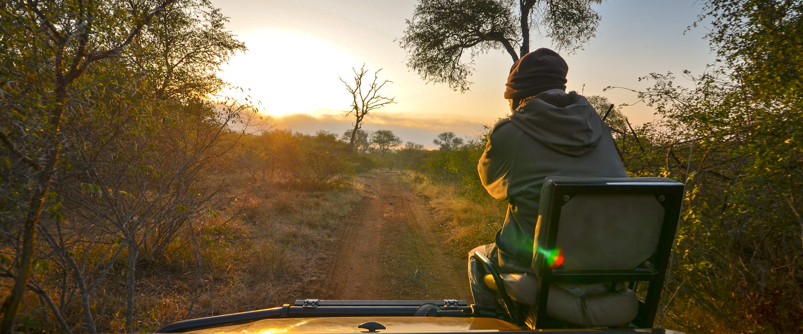 let us know your thoughts about South Africa and we will make sure to deliver the perfect safari