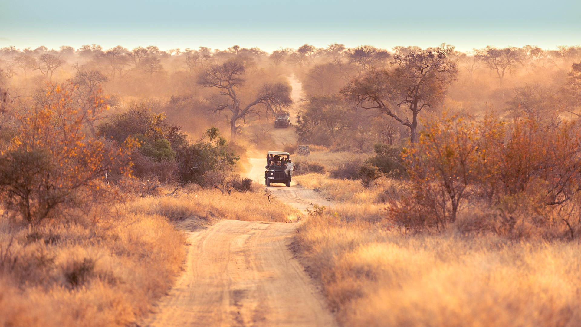 Safari to the Timbavati Reserve