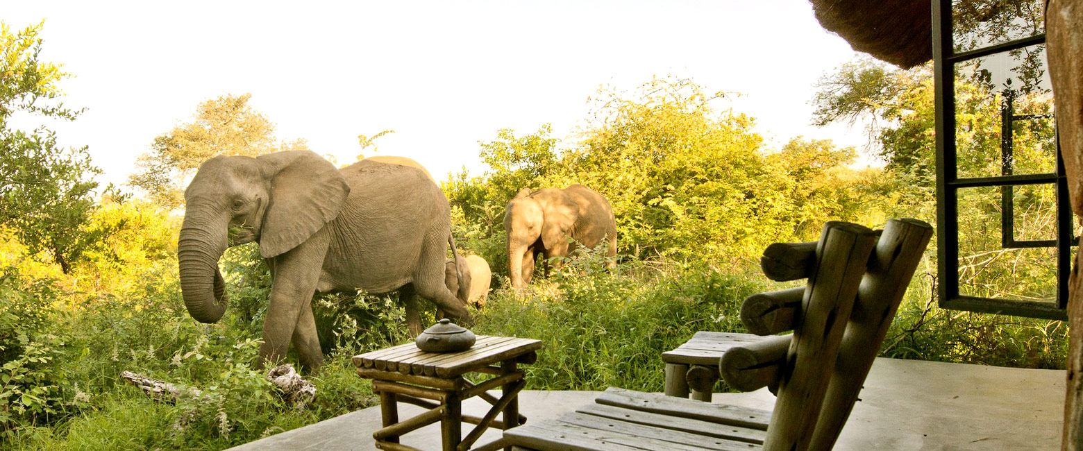 is an exclusive-use property on the Timbavati Reserve 
