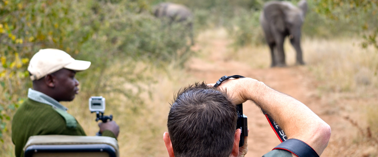 let us know your thoughts about South Africa and we will help you create the perfect safari 
