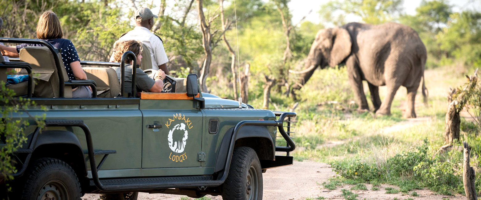 let us know your thoughts about South Africa and we will help you create the perfect safari 