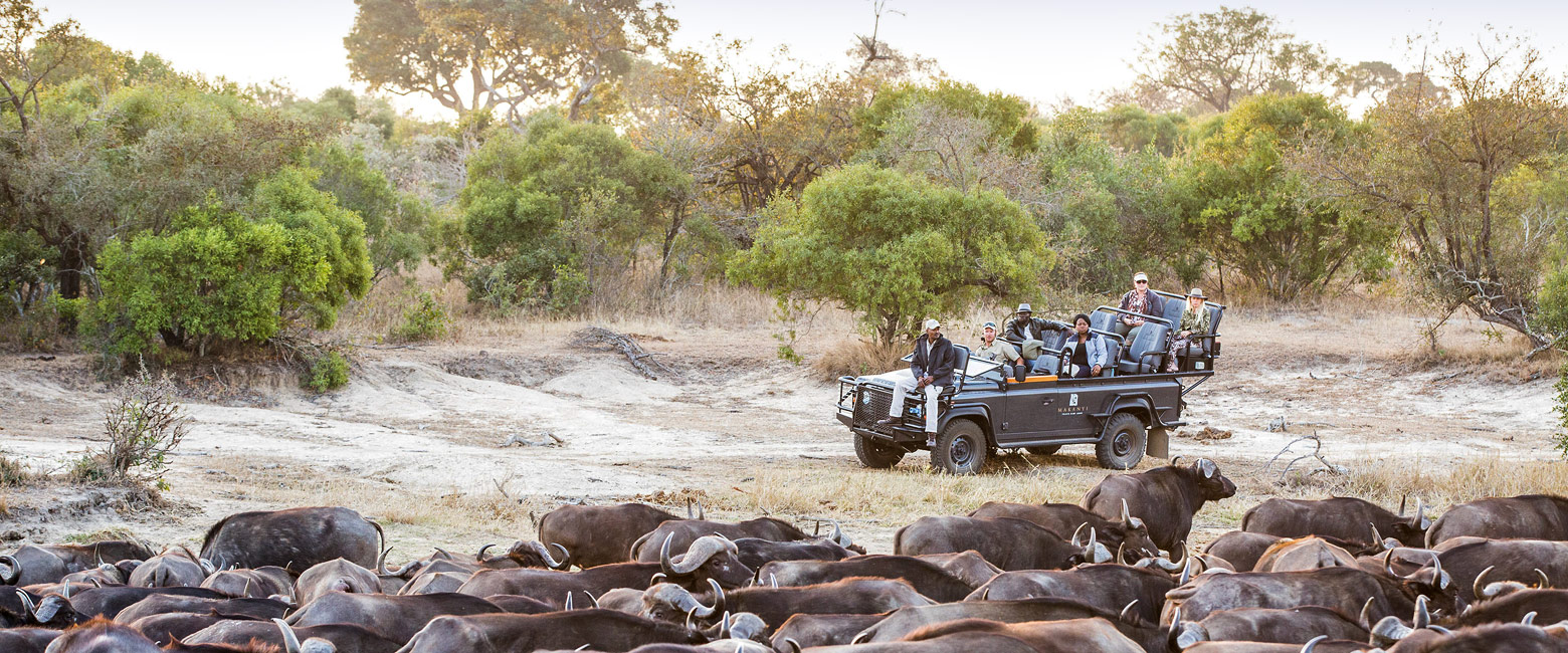 let us know your thoughts about South Africa and we will help you create the perfect safari