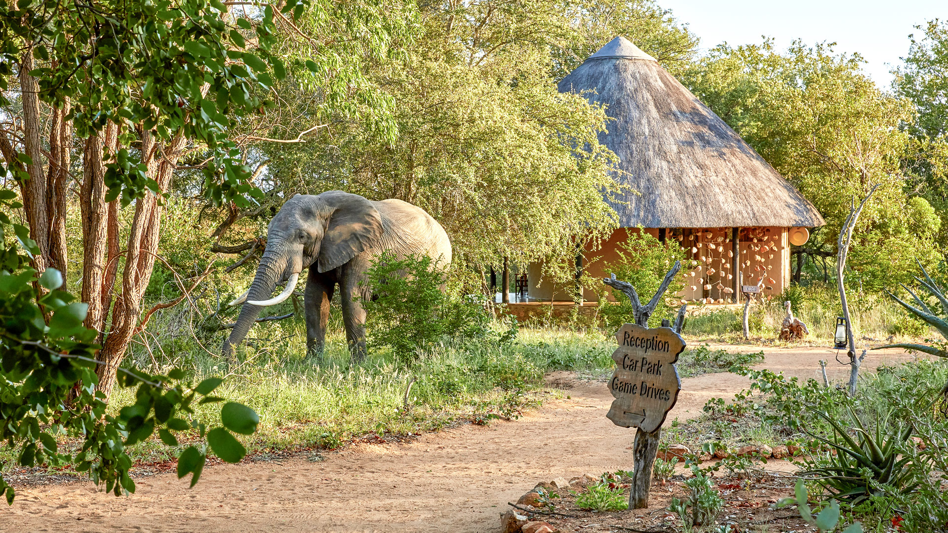 Motswari Safari Lodge