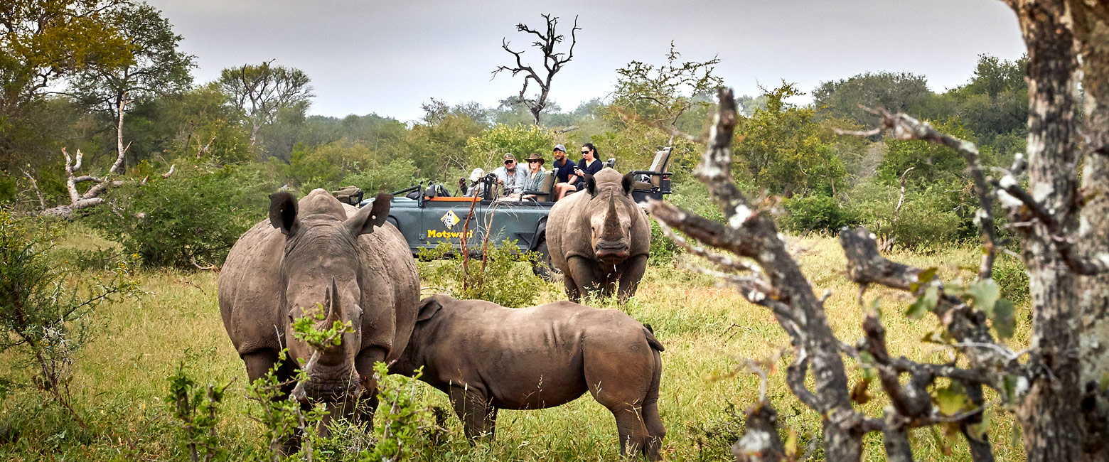 let us know your thoughts about South Africa and we will help you create the perfect safari