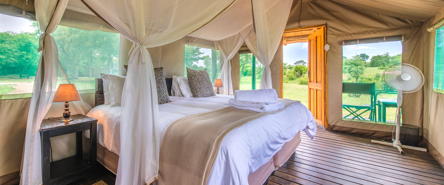 is a simple and well-priced property on the Thornybush Reserve