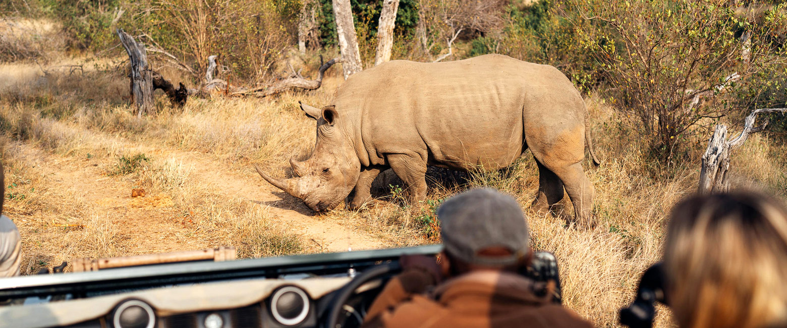 let us know your thoughts about South Africa and we will help you create the perfect safari