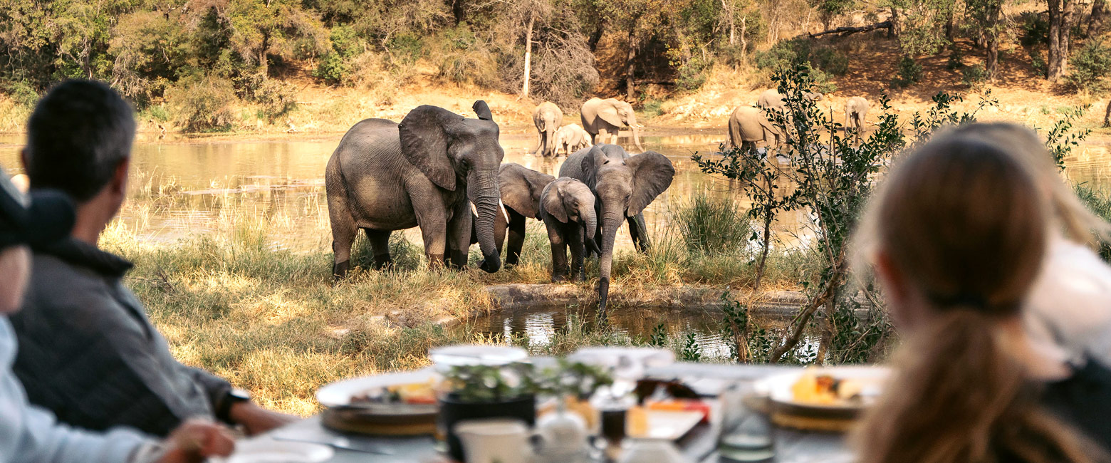 let us know your thoughts about South Africa and we will make sure to deliver the perfect safari