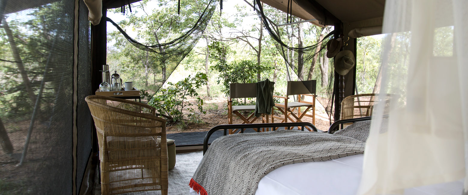is a deliberately simple camp on the Timbavati Reserve