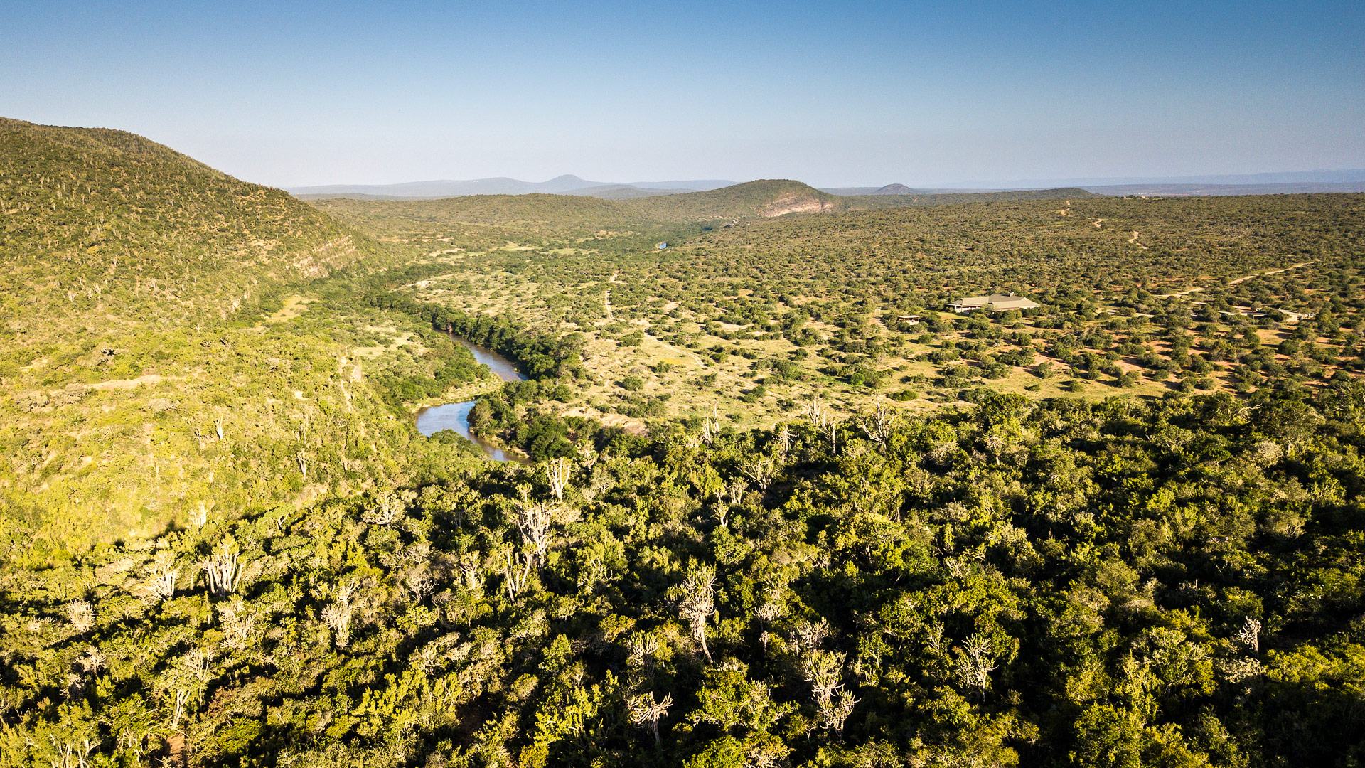 Safari to Kwandwe