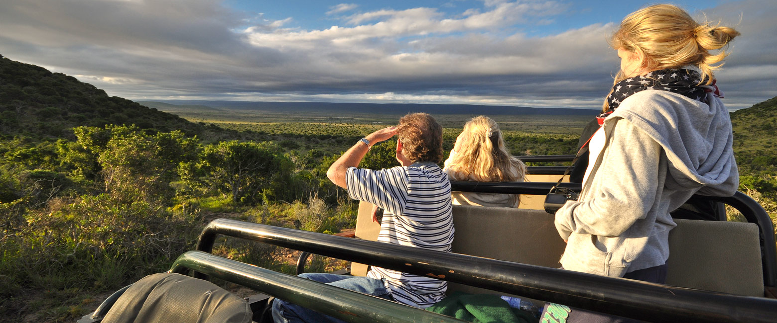 let us know your thoughts about South Africa and we will help you create the perfect safari
