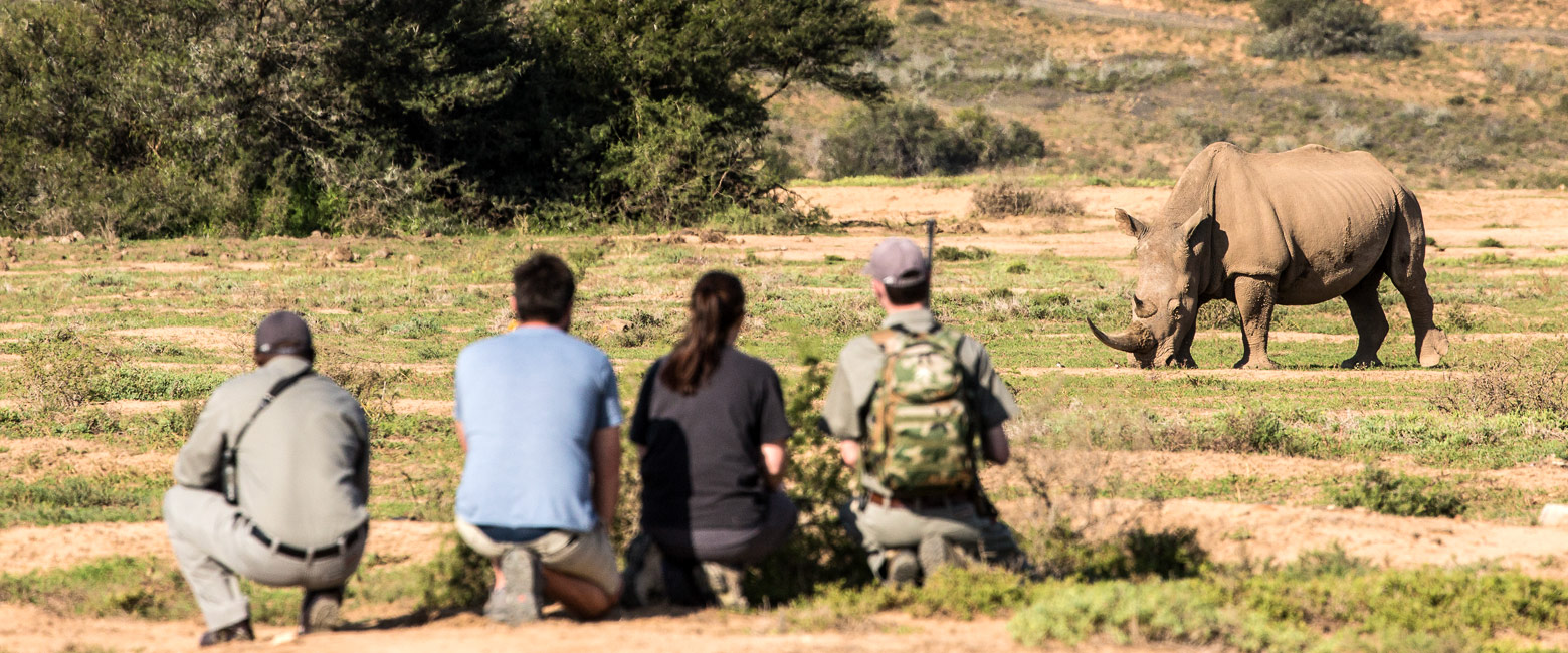 let us know your thoughts about South Africa and we will help you create the perfect safari
