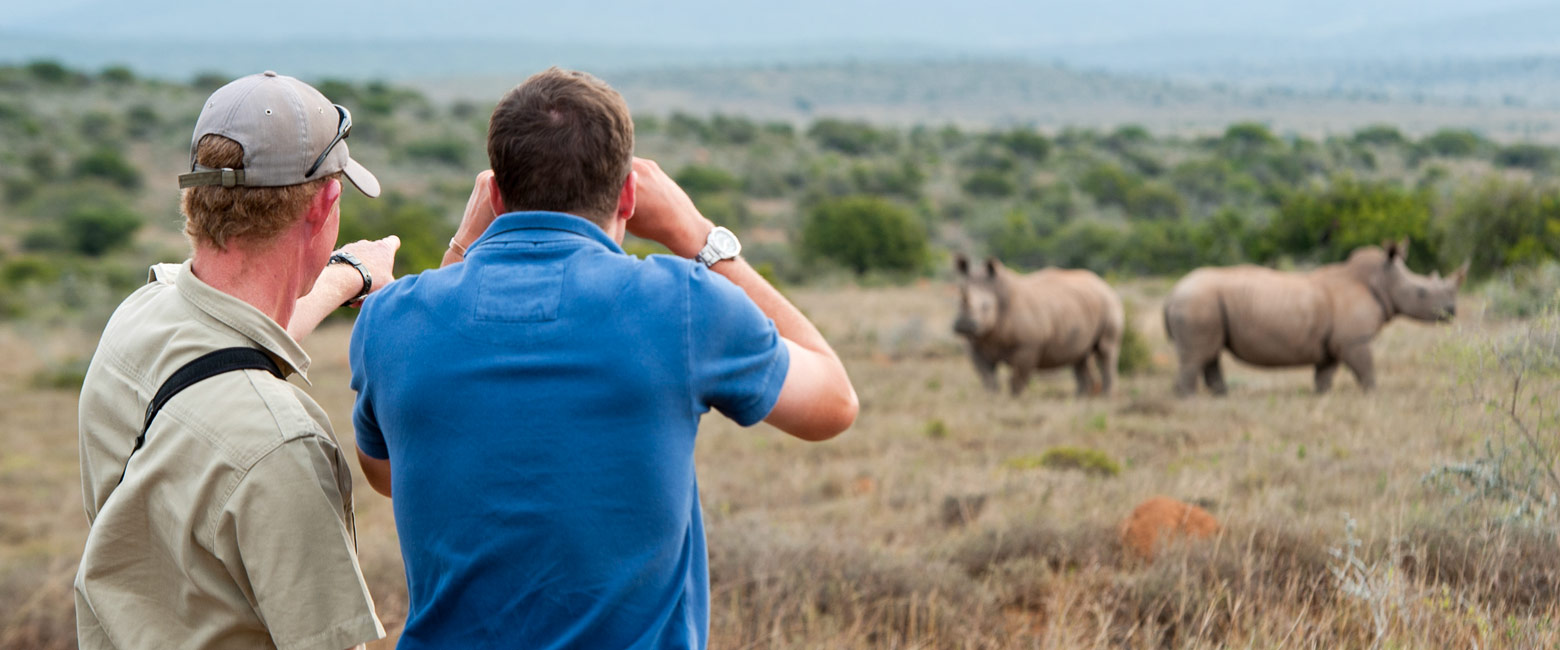 let us know your thoughts about South Africa and we will help you create the perfect safari 