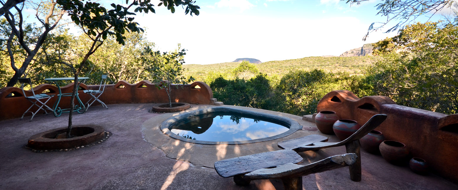 let us know your thoughts about South Africa and we will help you create the perfect safari