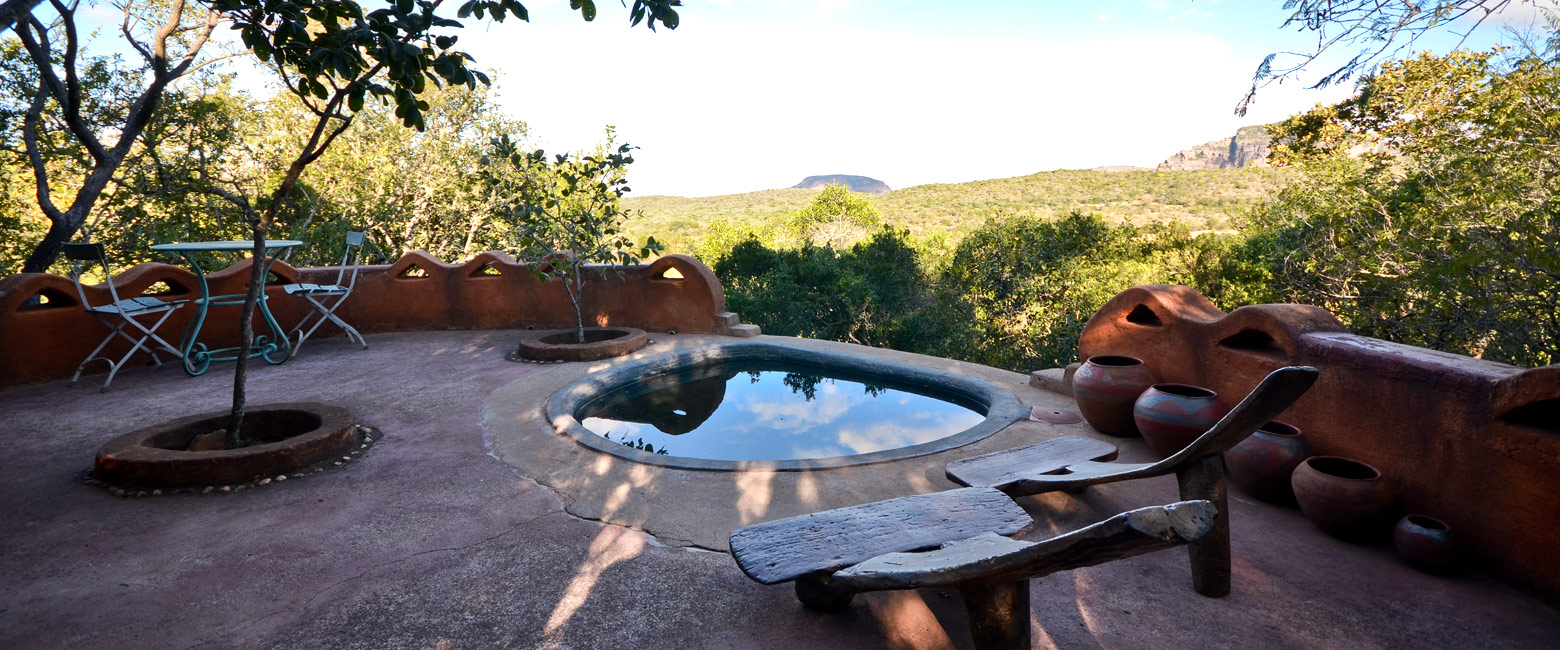 let us know your thoughts about South Africa and we will help you create the perfect safari