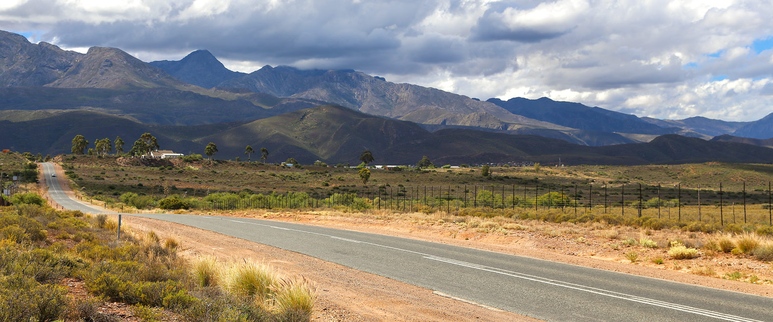 let us know your thoughts about South Africa and we will help you create the perfect safari
