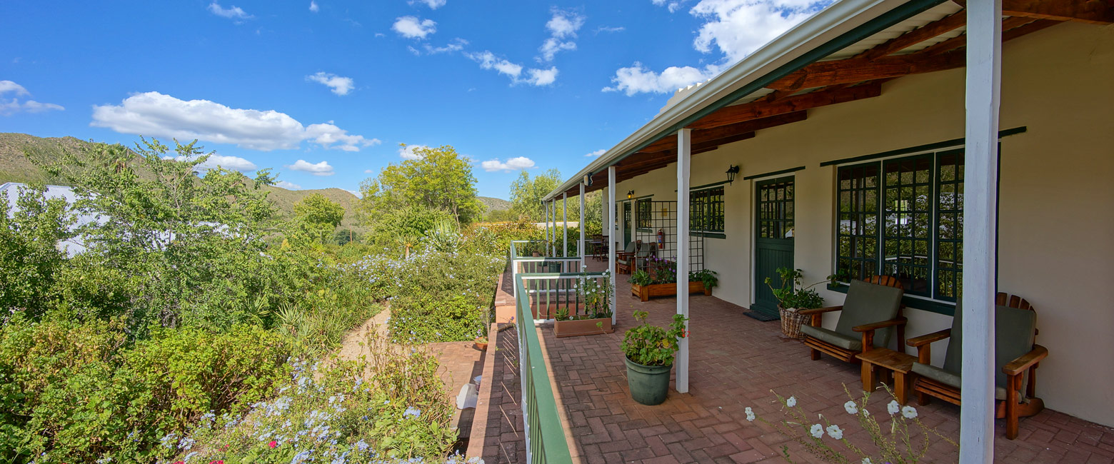let us know your thoughts about South Africa and we will help you create the perfect safari