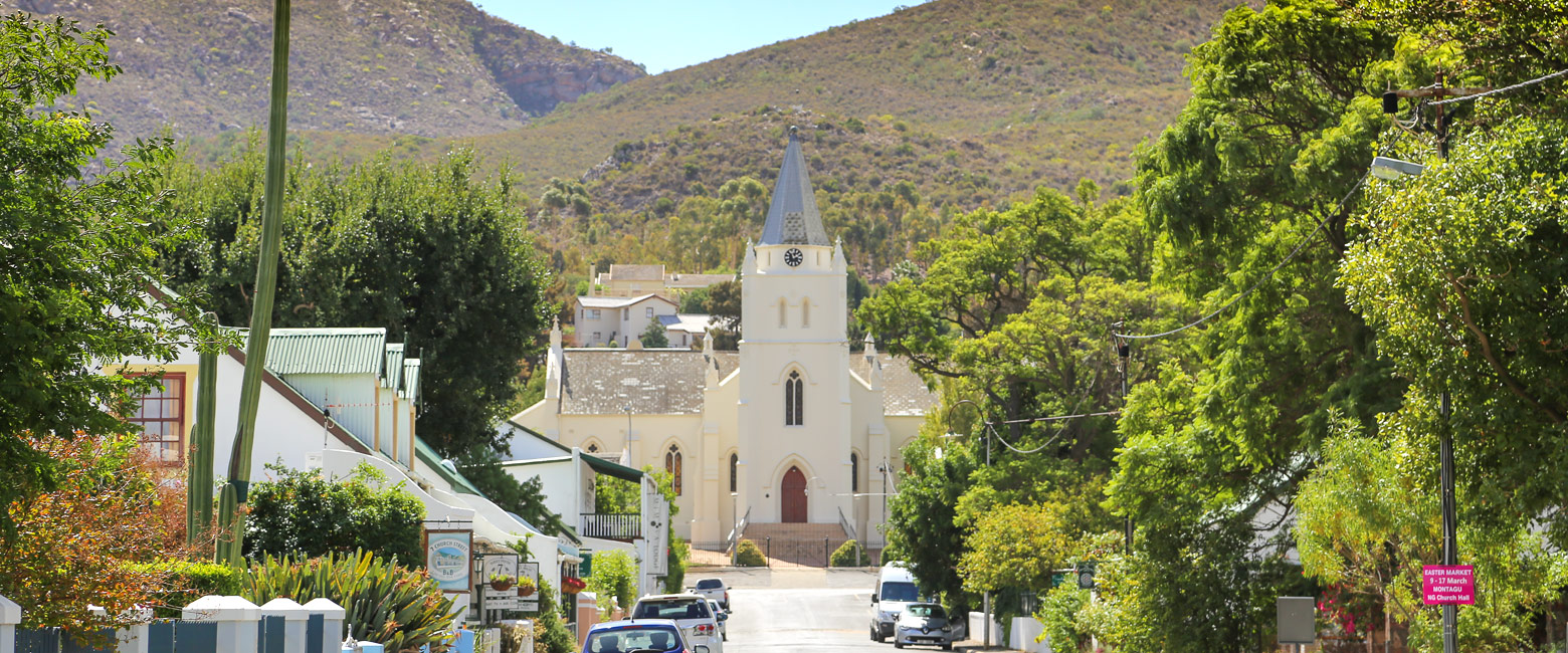 let us know your thoughts about South Africa and we will help you create the perfect safari 