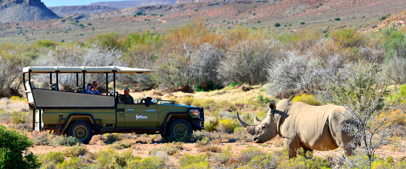 is the best wildlife reserve in the Western Cape