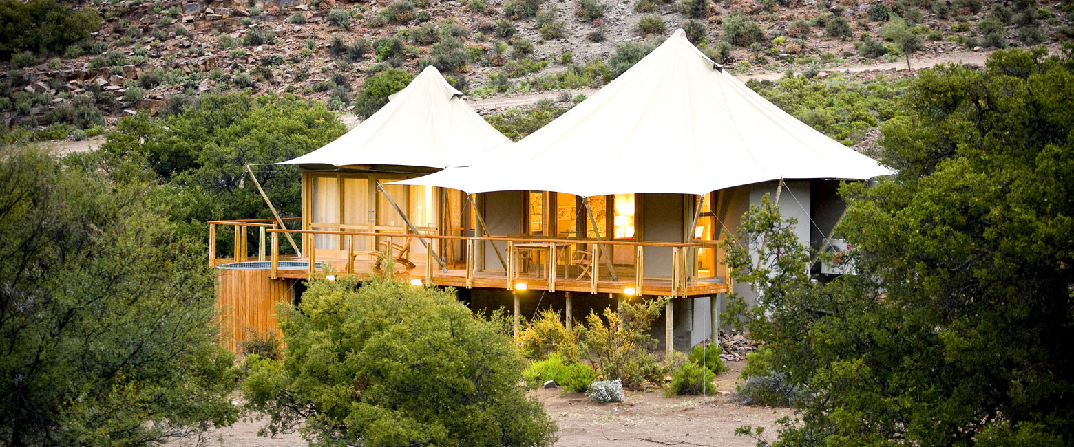 let us know your thoughts about South Africa and we will help you create the perfect safari