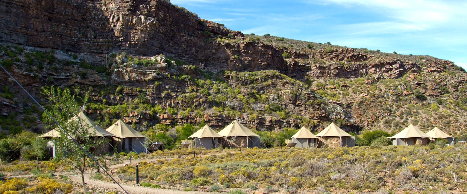 is a quality safari camp in the Little Karoo area 