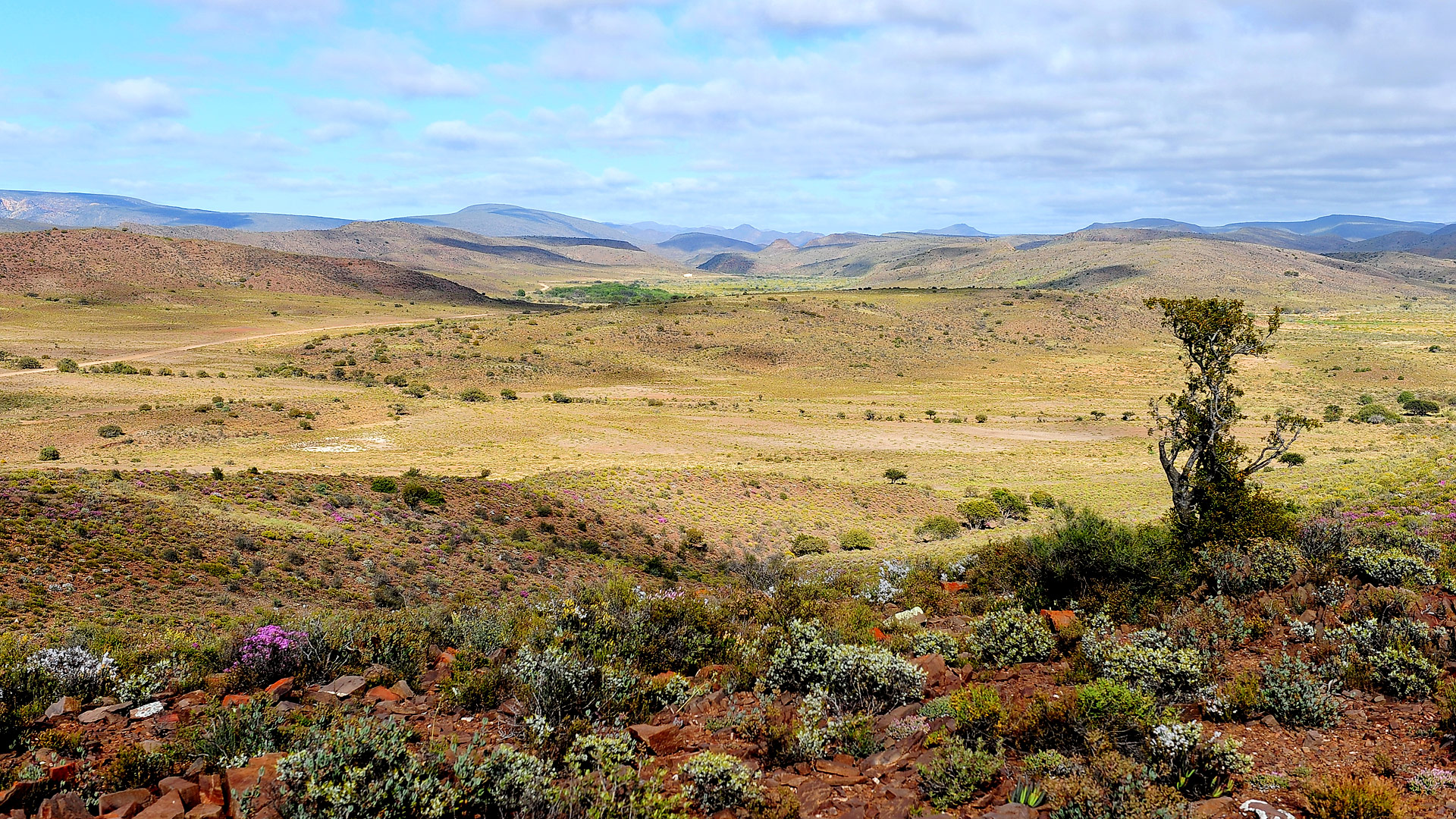 Sanbona Explorer Camp
