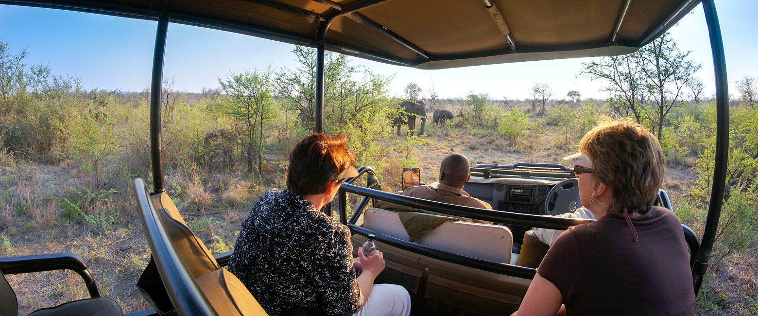let us know your thoughts about South Africa and we will make sure to deliver the perfect safari