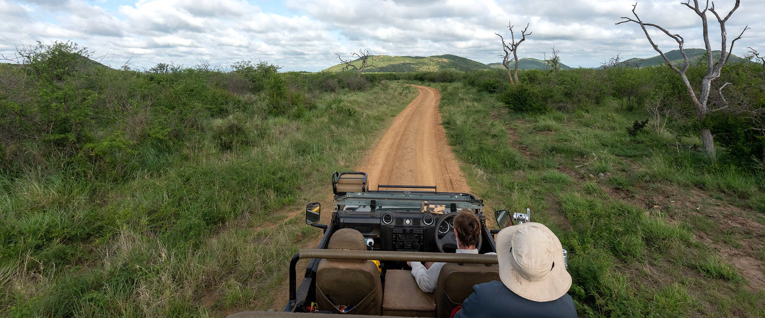 let us know your thoughts about South Africa and we will help you create the perfect safari 