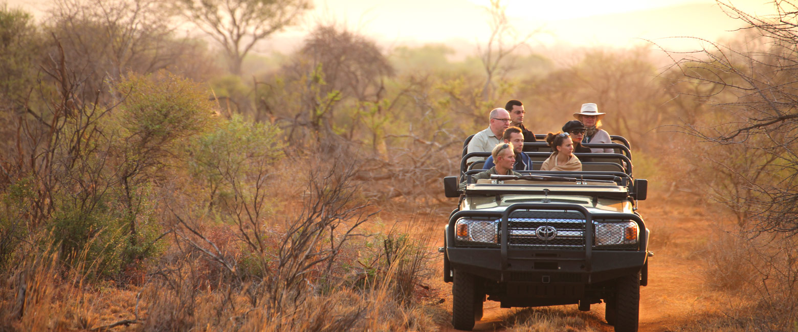 let us know your thoughts about South Africa and we will make sure to deliver the perfect safari