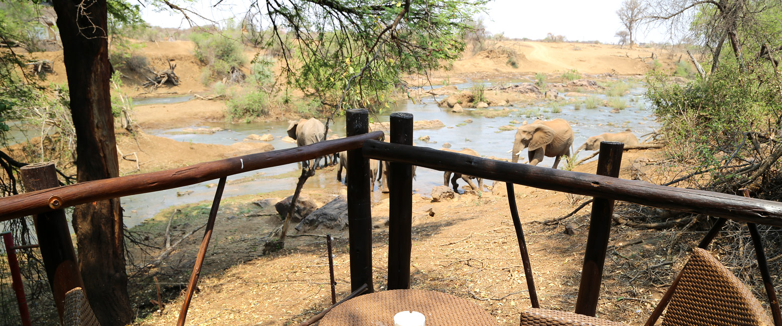 let us know your thoughts about South Africa and we will help you create the perfect safari