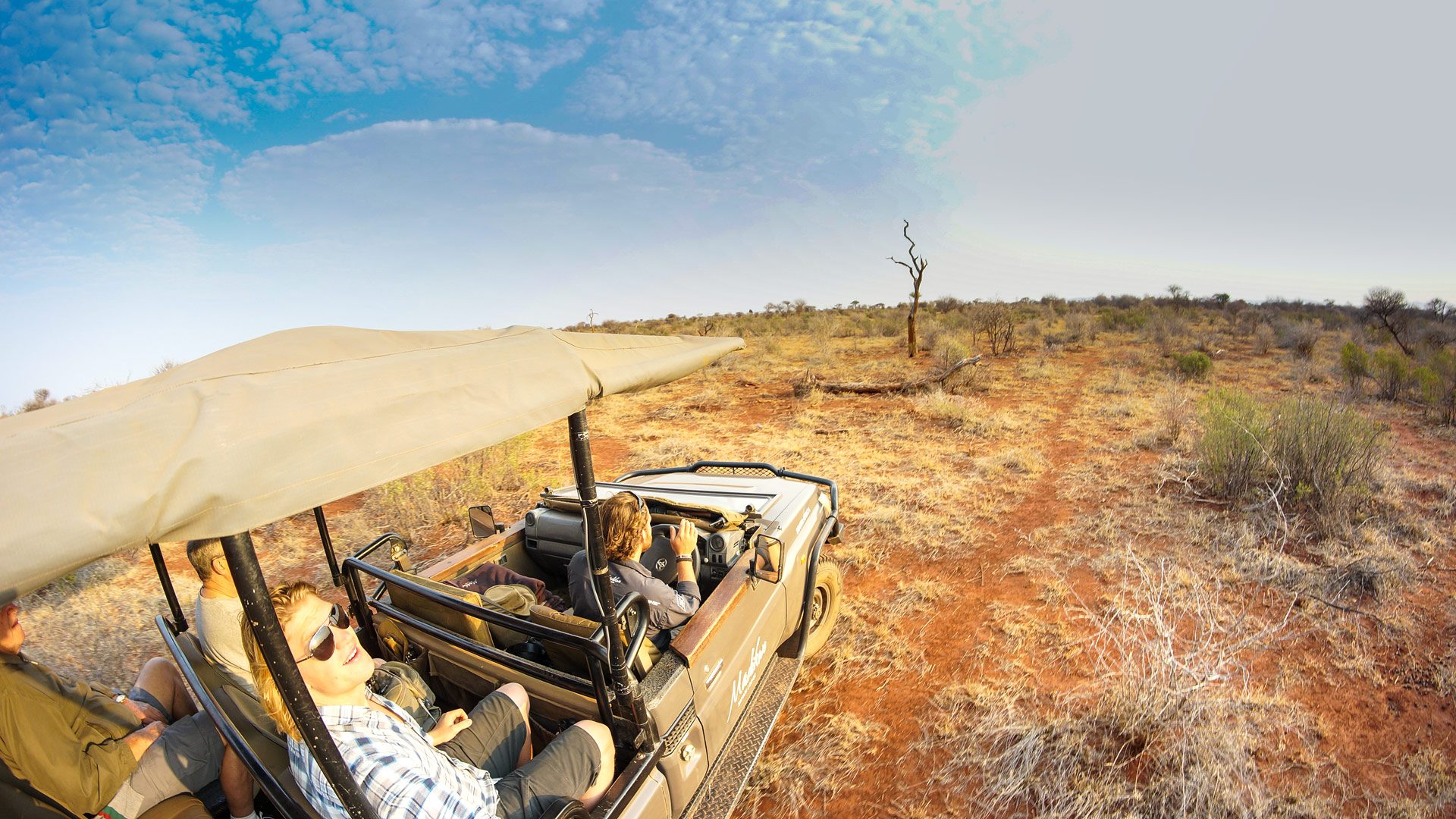 Madikwe Safari Lodge