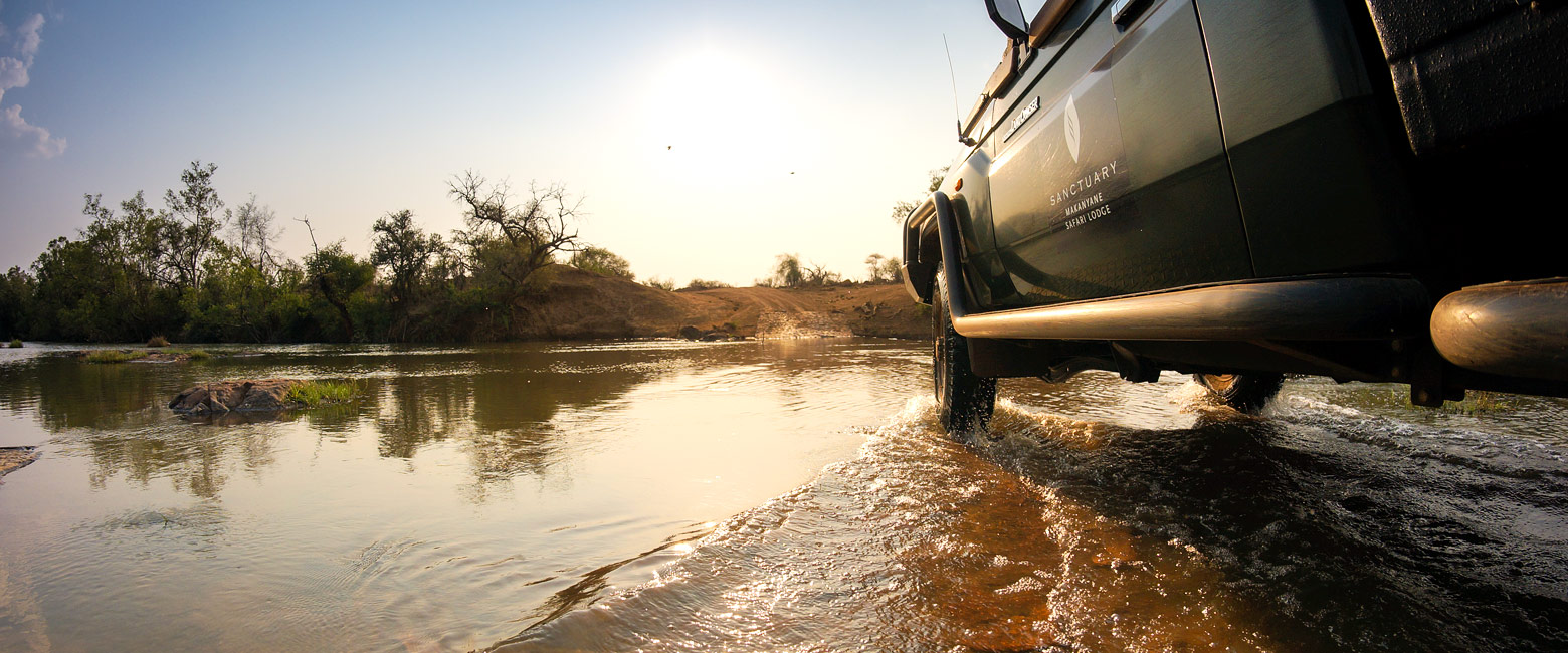 let us know your thoughts about South Africa and we will help you create the perfect safari