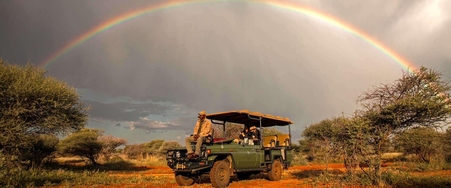 let us know your thoughts about South Africa and we will help you create the perfect safari 