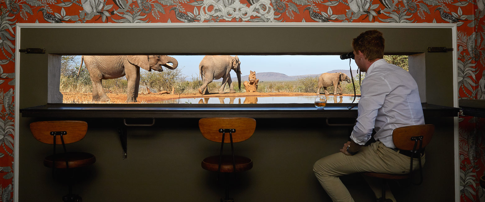 let us know your thoughts about South Africa and we will make sure to deliver the perfect safari