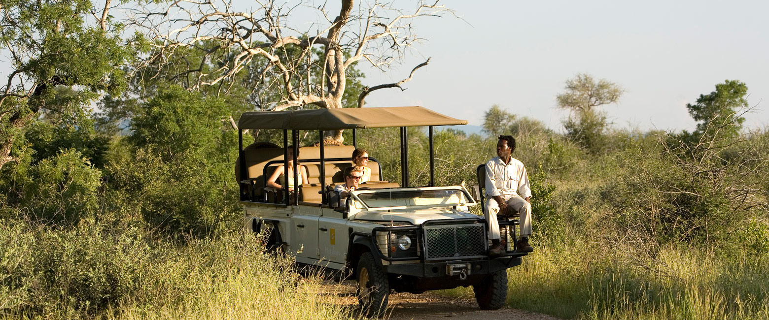 let us know your thoughts about South Africa and we will help you create the perfect safari