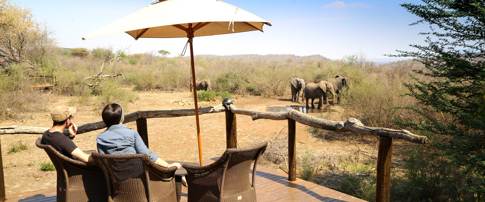 let us know your thoughts about South Africa and we will make sure to deliver the perfect safari
