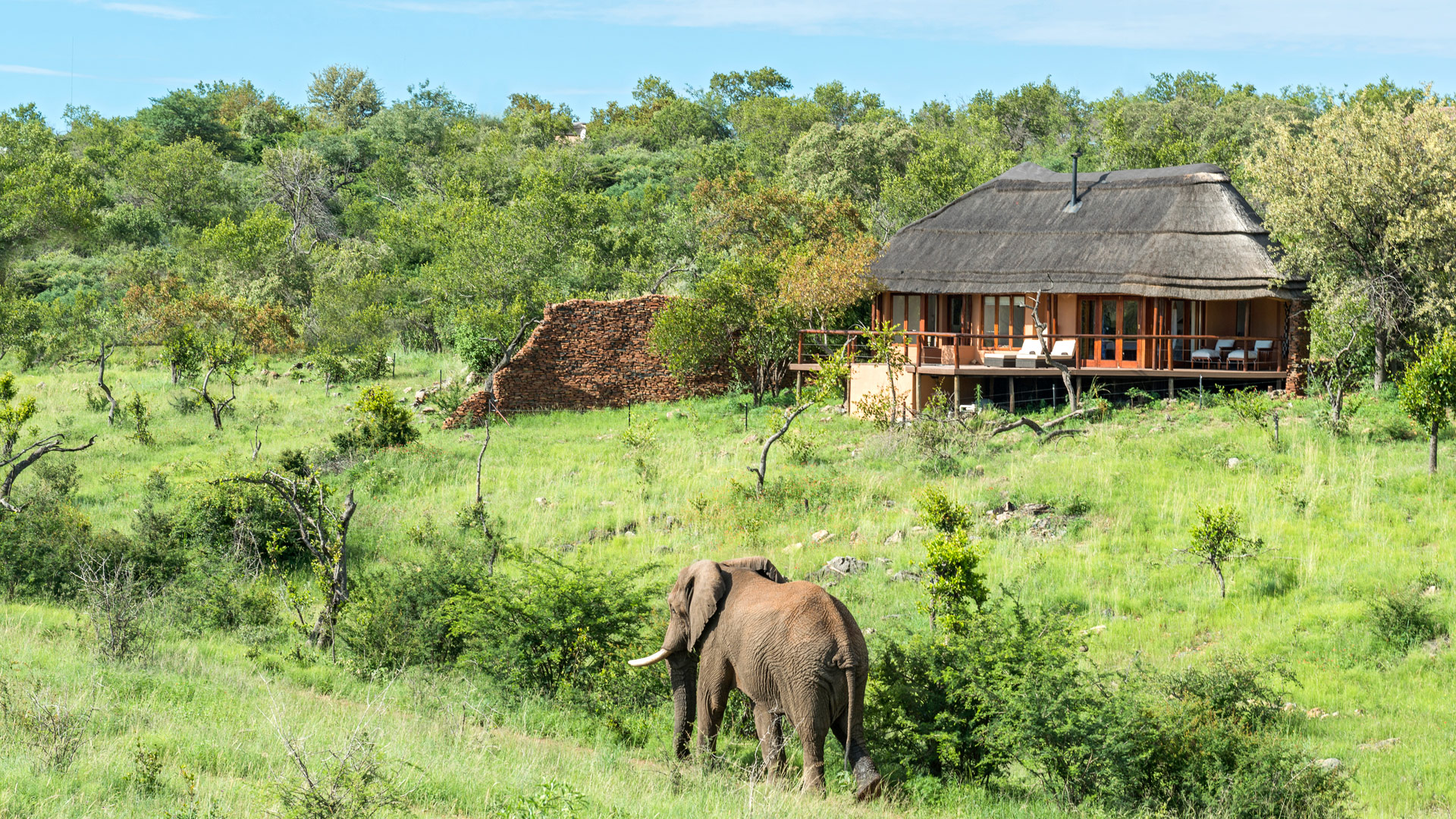 Royal Madikwe