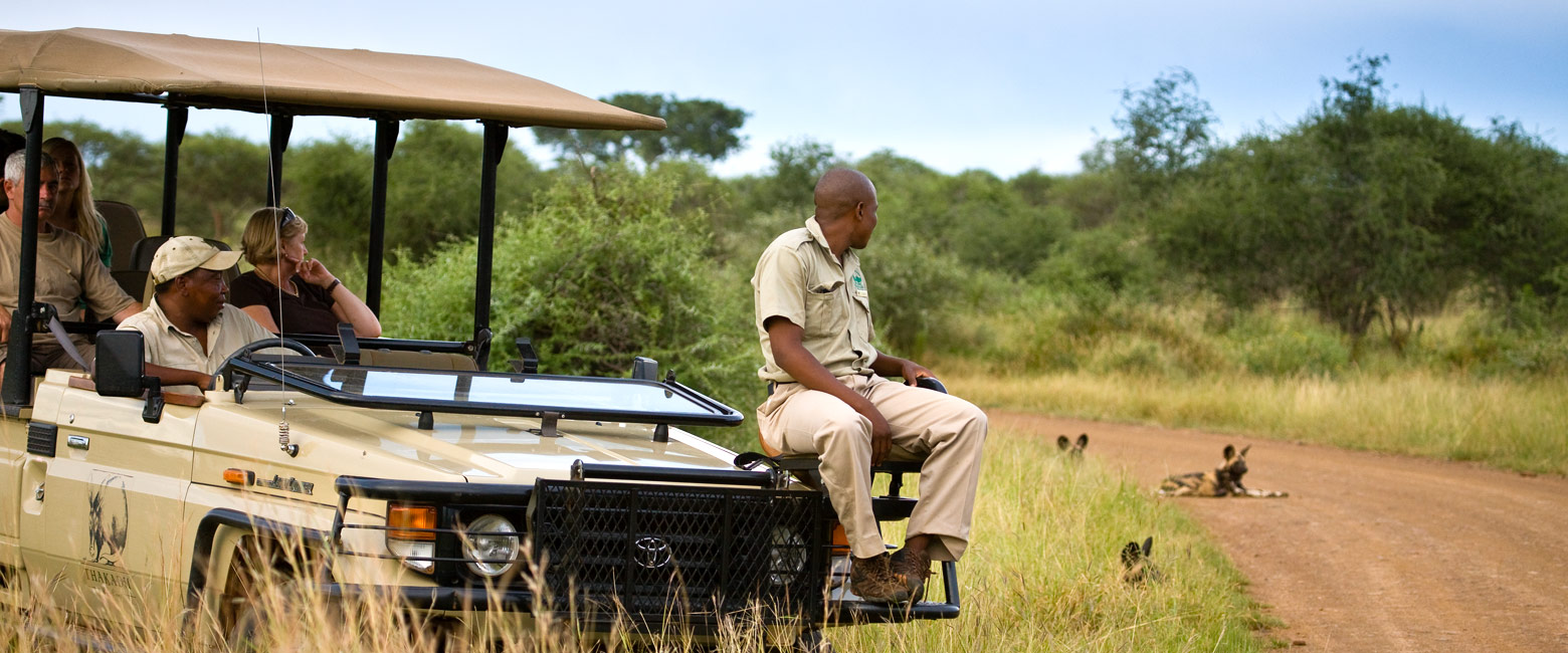 let us know your thoughts about South Africa and we will make sure to deliver the perfect safari 