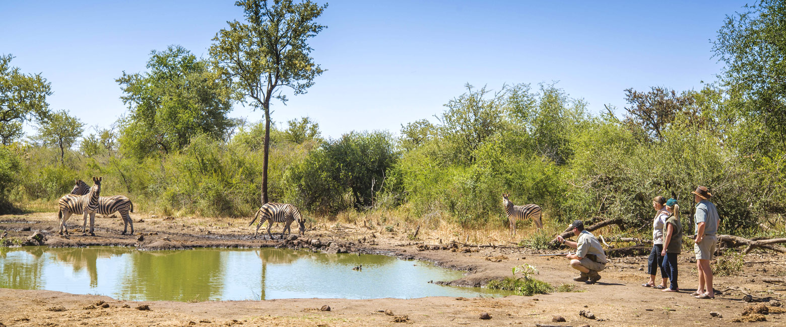 let us know your thoughts about South Africa and we will help you create the perfect safari 