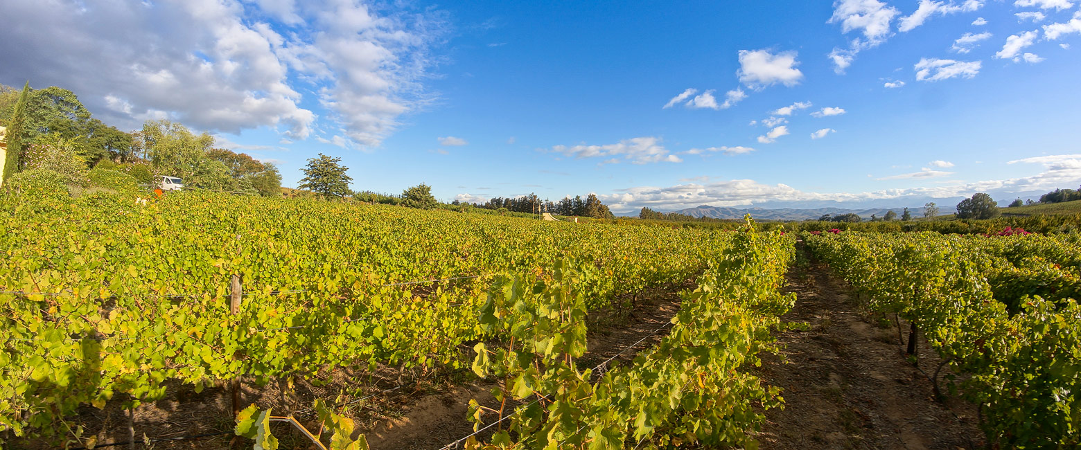 let us know your thoughts about South Africa and we will help you create the perfect trip