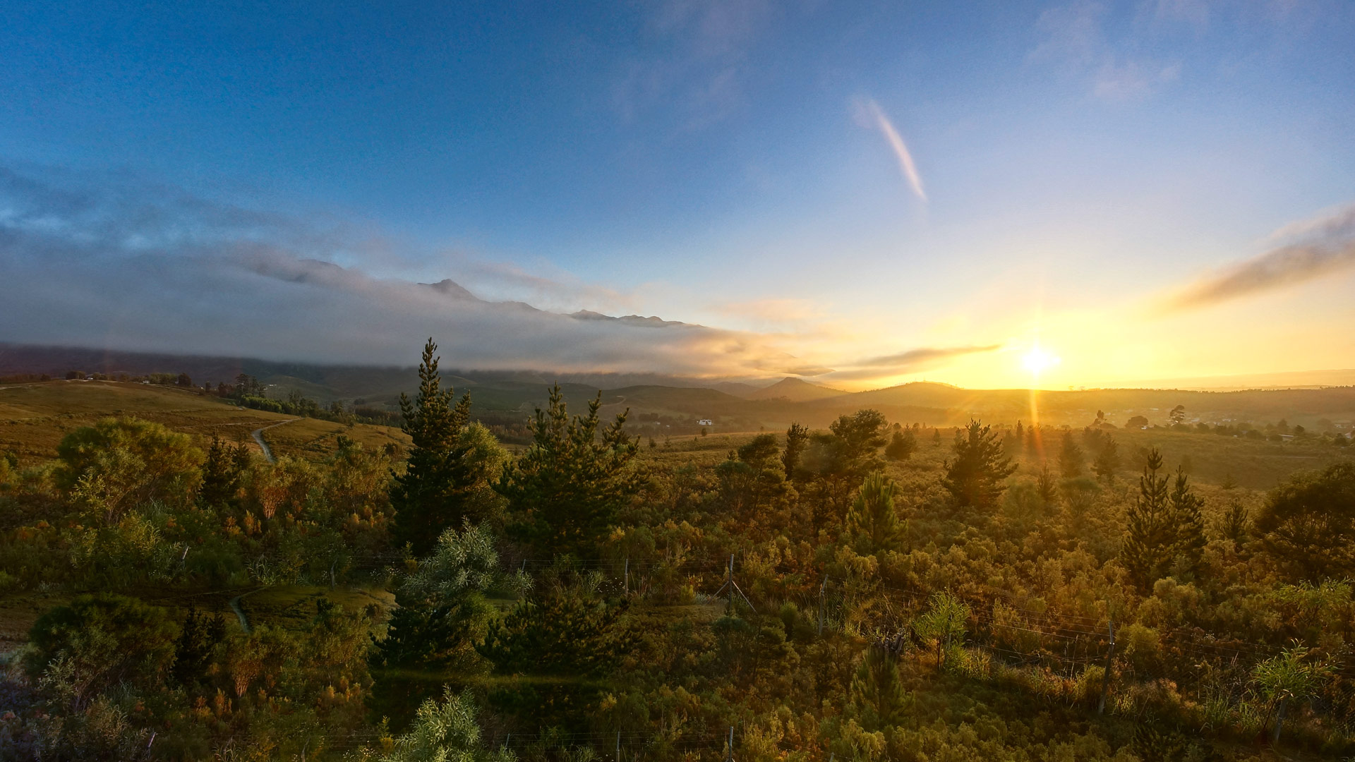 Travel to Swellendam