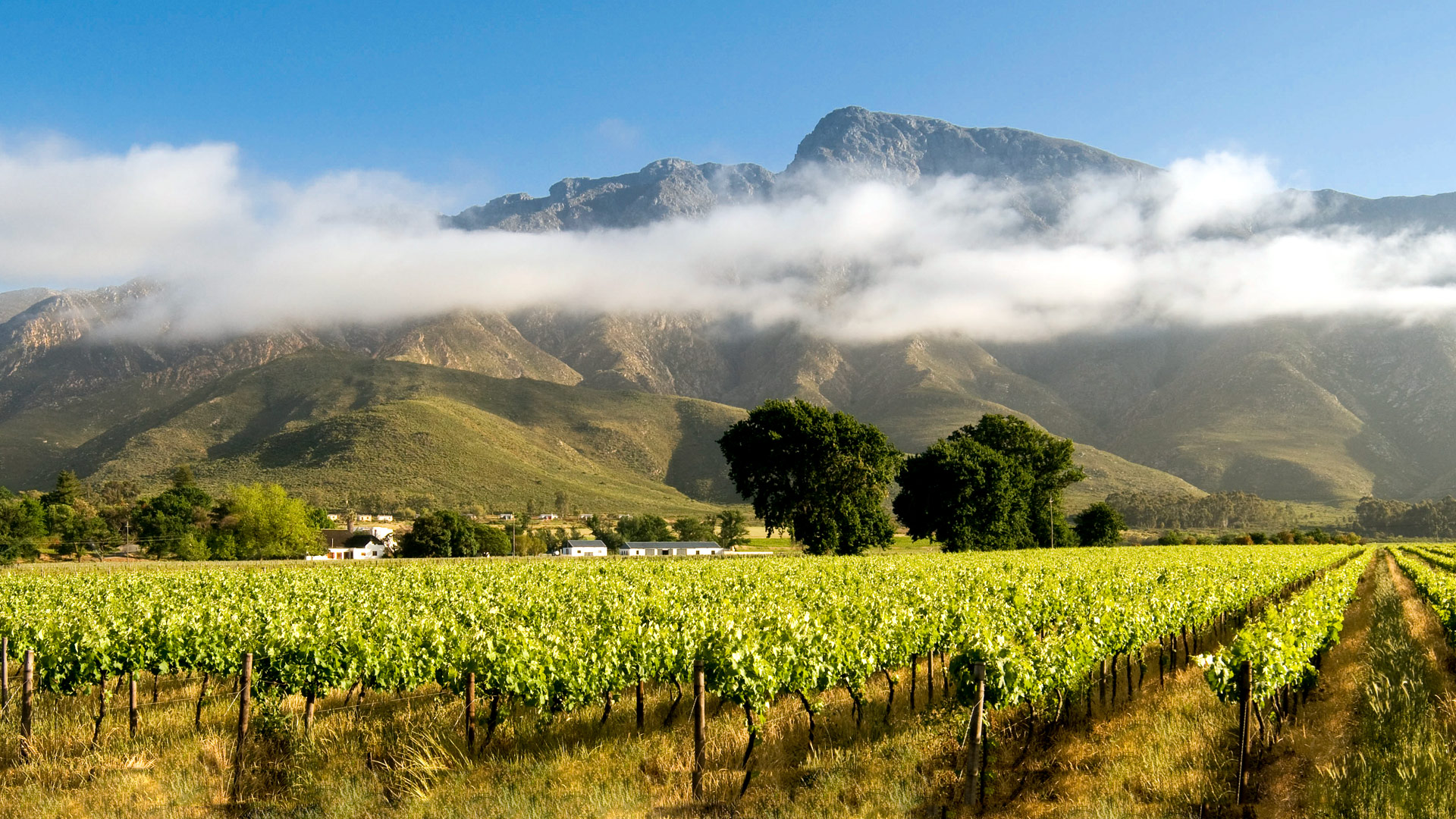 Leipzig Country House